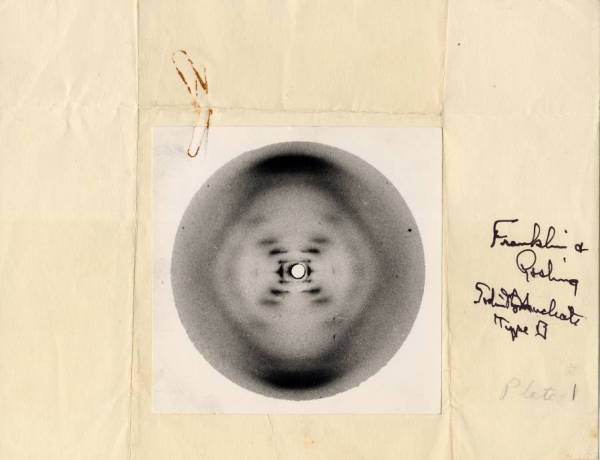 ROSALIND FRANKLIN il segreto della vita storia donne venete gatte vicentine donne vicentine cosa fare in veneto cosa vedere a vicenza teatro vicenza magazine vicenza donne di vicenza città del palladio scoperta struttura elicoidale del dna teatro comunale di vicenza