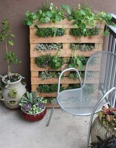 lavori e piante per il terrazzo di casa con terrazzo a vicenza magazine cosa fare a vicenza arredare terrazzo di casa primavera lavori giardino terrazzo a vicenza gianluca piva il marito in affitto vicentino gatte vicentine donne di vicenza