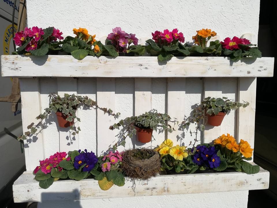 lavori e piante per il terrazzo di casa con terrazzo a vicenza magazine cosa fare a vicenza arredare terrazzo di casa primavera lavori giardino terrazzo a vicenza gianluca piva il marito in affitto vicentino gatte vicentine donne di vicenza