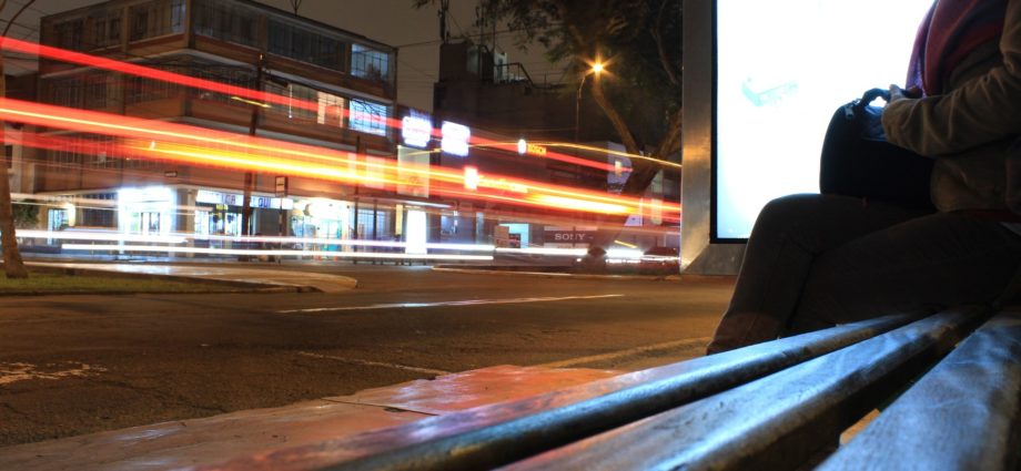 autobus notturno a vicenza magazine delle donne di vicenza cosa fare a vicenza trasporti vicentini apt aim vicenza come viaggiare a vicenza gatte vicentine
