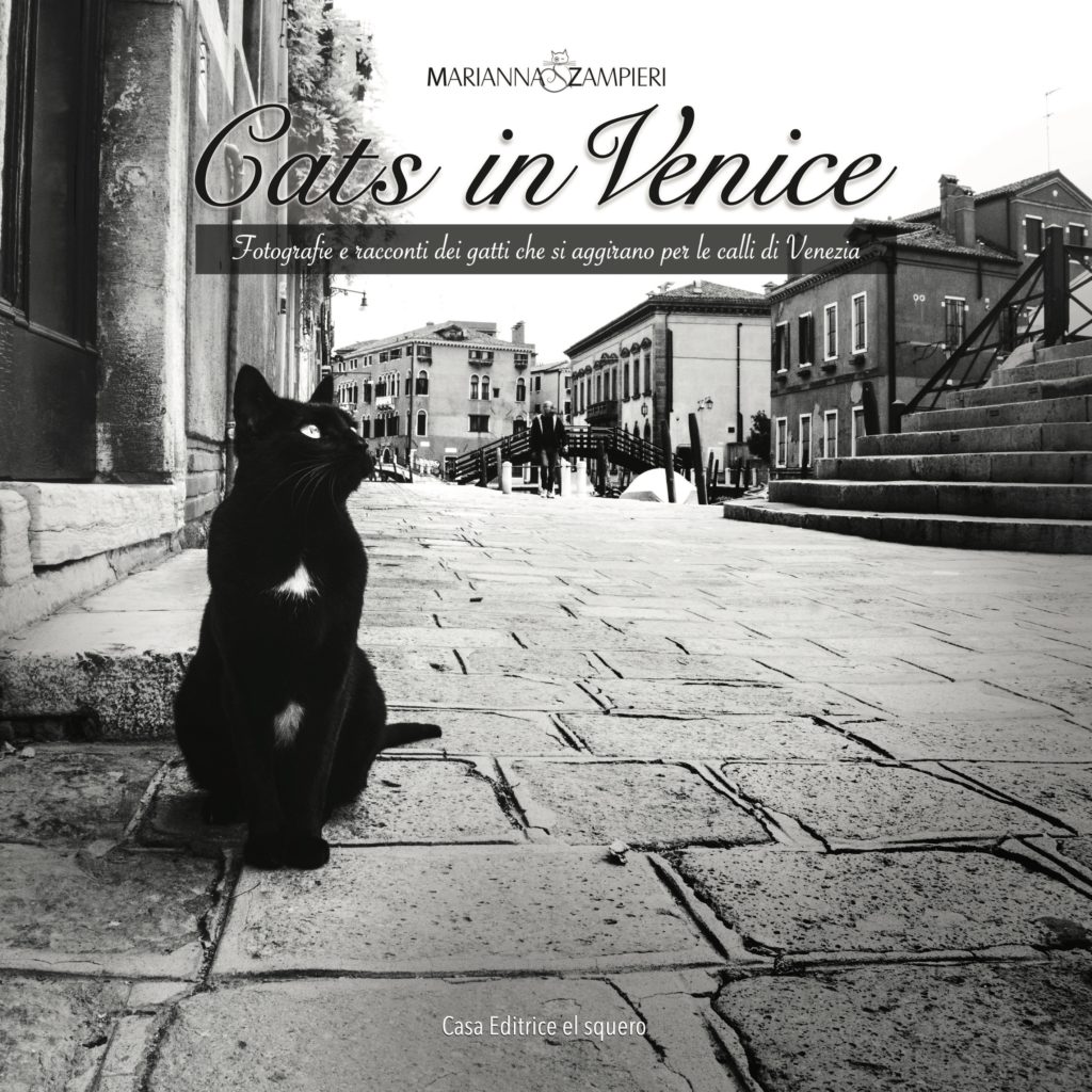 cats in venice marianna zampieri libro gatti veneziani gatte vicentine cosa fare in veneto cosa fare a vicenza eventi notizie veneto notizie vicenza storie di gatti donne vicentine fotografia venezia fotografa vicenza