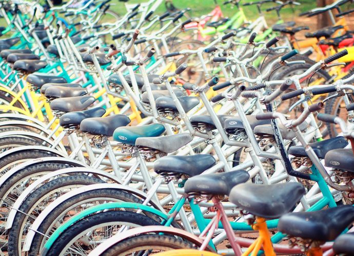 dove parcheggiare la bici a vicenza dove parcheggiare la bicicletta a vicenza trasporti veneto magazine vicenza news veneto cosa fare in veneto cosa fare a vicenza furti bici veneto furti bici italia furti bici vicenza ilaria rebecchi gatte vicentine donne di vicenza