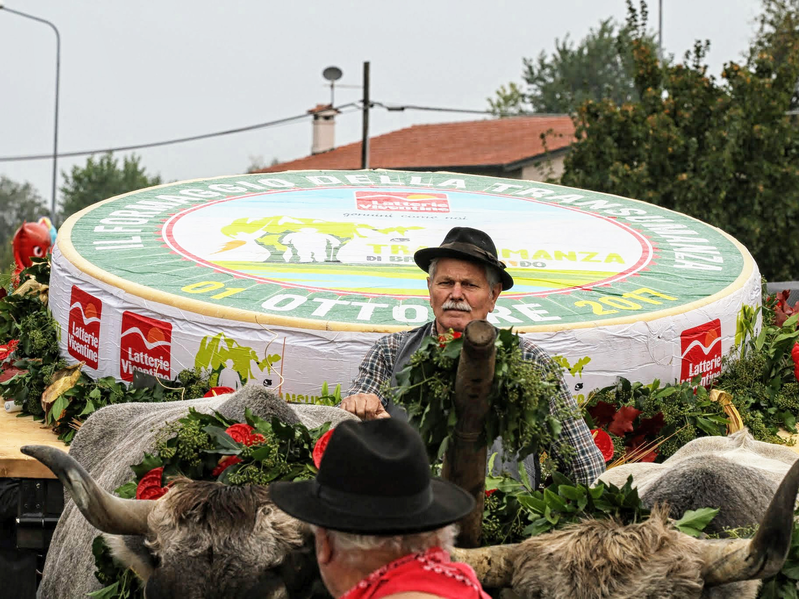 festa della transumanza vicenza eventi in veneto magazine vicenza gatte vicentine donne di vicenza campagna veneta buoi veneto agricoltura veneta allevamento veneto vicenza formaggio asiago dop festa di latterie vicentine bressanvido cosa fare a vicenza cosa fare in veneto ilaria rebecchi cooking lele eleonora garzia