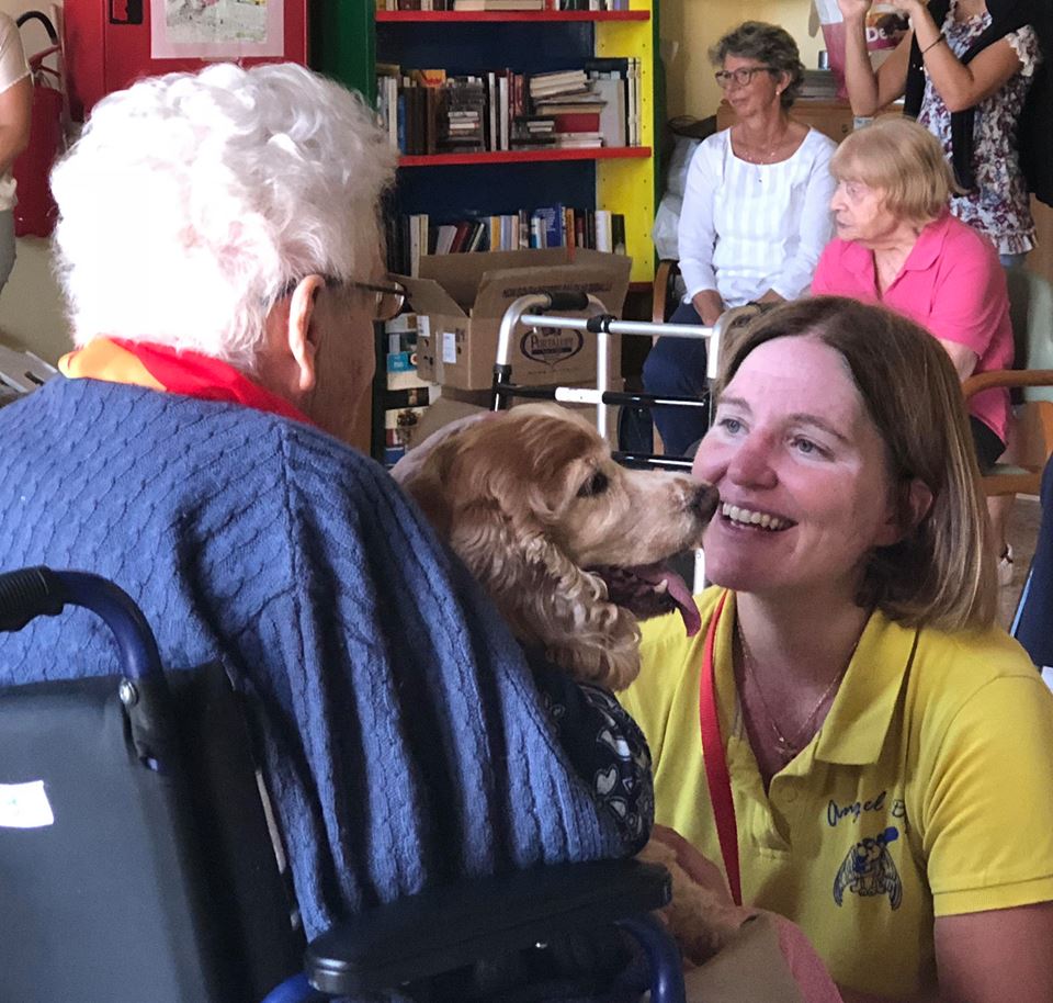club soroptimist vicenza lia bedogni residenza trento vicenza istituto trento vicenza ipab ilaria rebecchi gatte vicentine donne di vicenza anziani istituto anziani vicenza associazione angel dog vicenza pet therapy e gli anziani vicenza veneto pet therapy