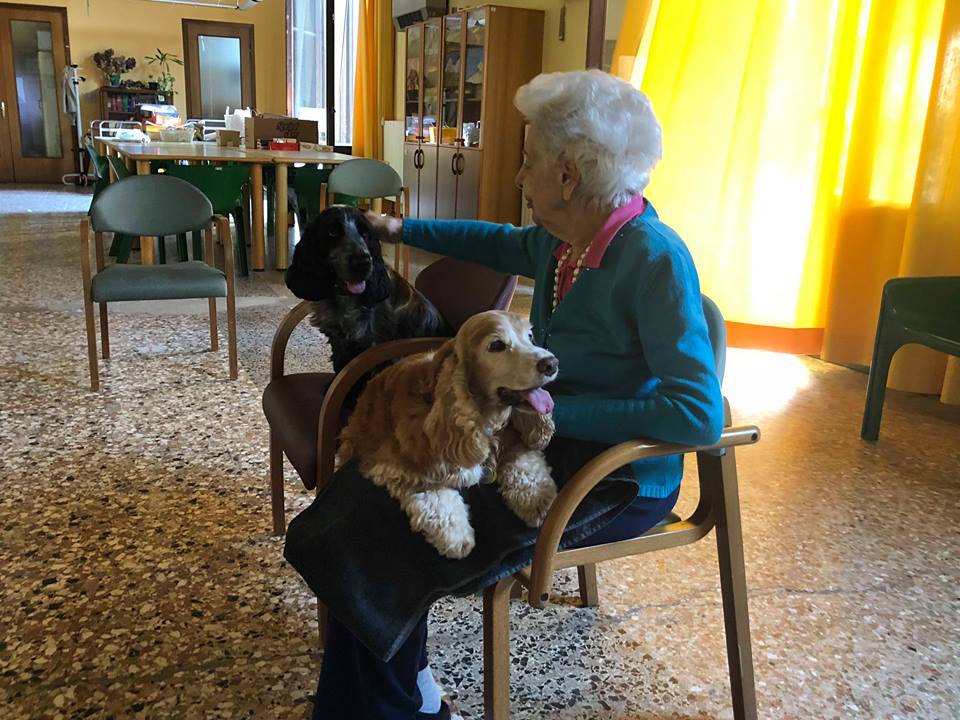 club soroptimist vicenza lia bedogni residenza trento vicenza istituto trento vicenza ipab ilaria rebecchi gatte vicentine donne di vicenza anziani istituto anziani vicenza associazione angel dog vicenza pet therapy e gli anziani vicenza veneto pet therapy