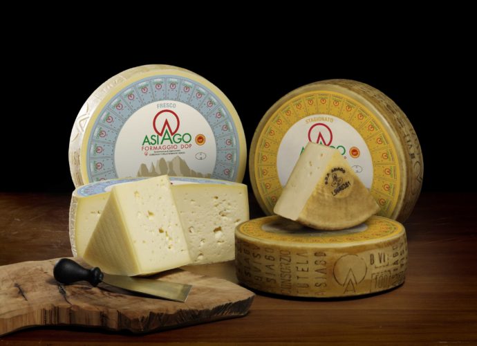 asiago dop stagionato asiago dop fresco asiago dop mezzano vicenza formaggio veneto world cheese awards ilaria rebecchi magazine vicenza veneto magazine notizie vicenza news veneto notizie vicenza news gatte vicentine donne di vicenza donne formaggio prodotti tipici veneti prodotti tipici vicenza formaggi veneti altopiano di asiago food veneto cibo vicenza food cosa mangiare a vicenza cibo cosa mangiare in veneto