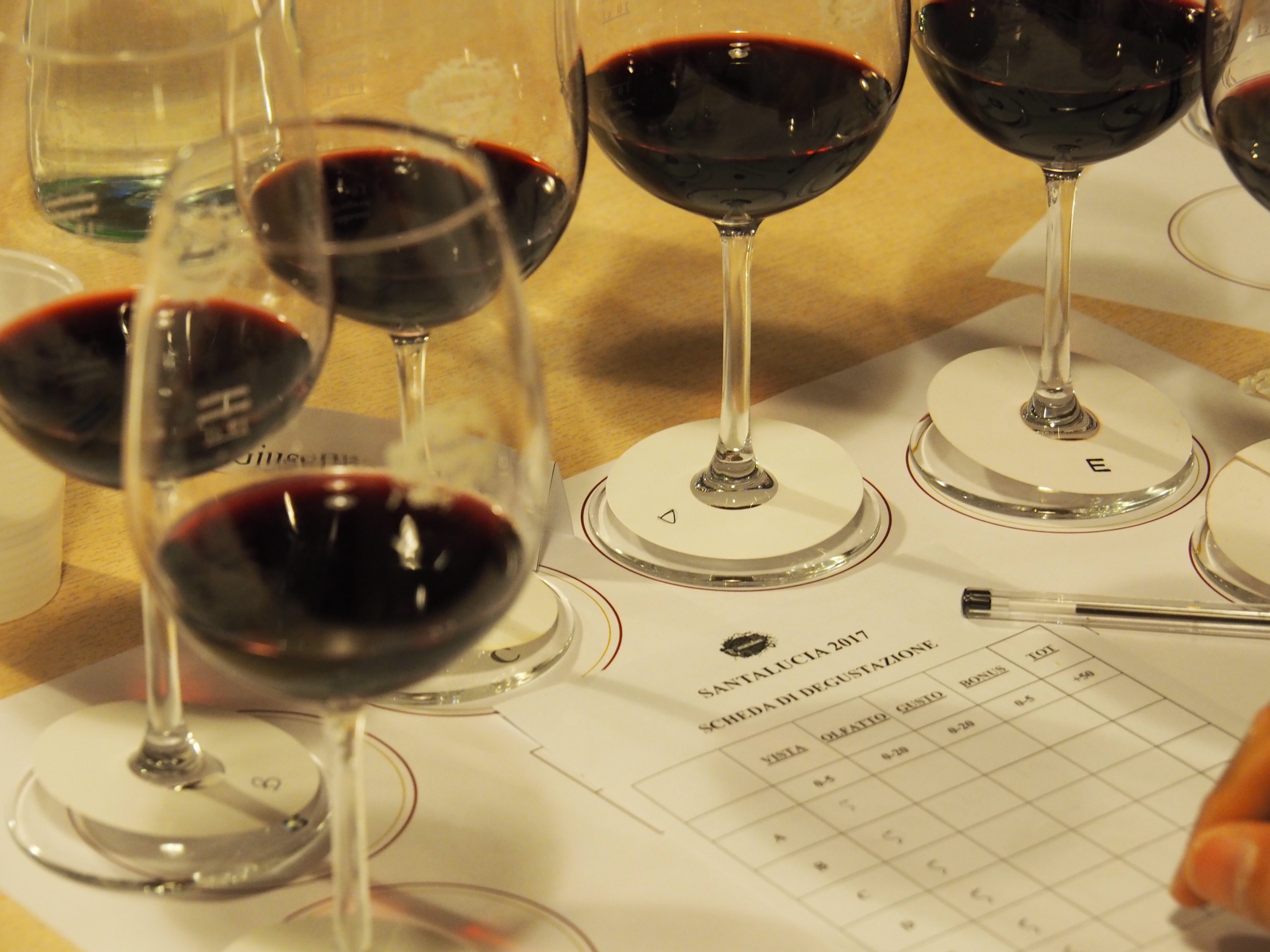 Cantina maculan Breganze vicenza vignaioli maculan vicenza Vino veneto food vicenza gatte Vicentine cosa fare in veneto cosa fare a vicenza donne di vicenza fondazione banca degli occhi veneto onlus santalucia 2017 Vino Natale 2018 vacanze di Natale cosa bere in veneto cosa bere a vicenza Ilaria Rebecchi Studio cru vigne venete vino veneto vicenza Vino magazine vicenza news veneto magazine notizie vicenza 