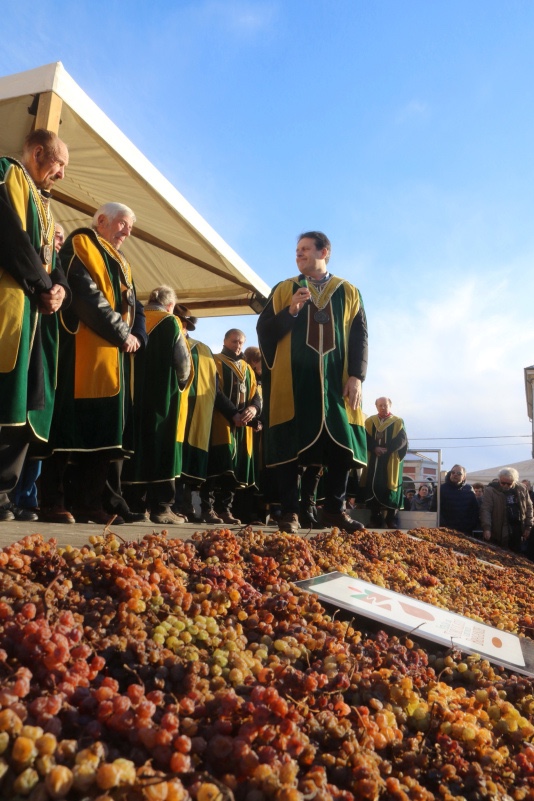 Prima del Torcolato 2019 Breganze eventi in veneto magazine vicenza eventi Vino veneto news vicenza Vino cosa fare a vicenza cosa fare in veneto cosa fare a Breganze donne di vicenza strada del Torcolato di breganze Ilaria Rebecchi gatte Vicentine 