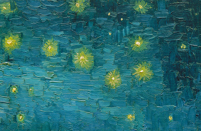 marco goldin presenta i colori delle stelle vicenza goldin a vicenza eventi arte vicenza van gogh vicenza basilica palladiana ilaria rebecchi gatte vicentine donne di vicenza