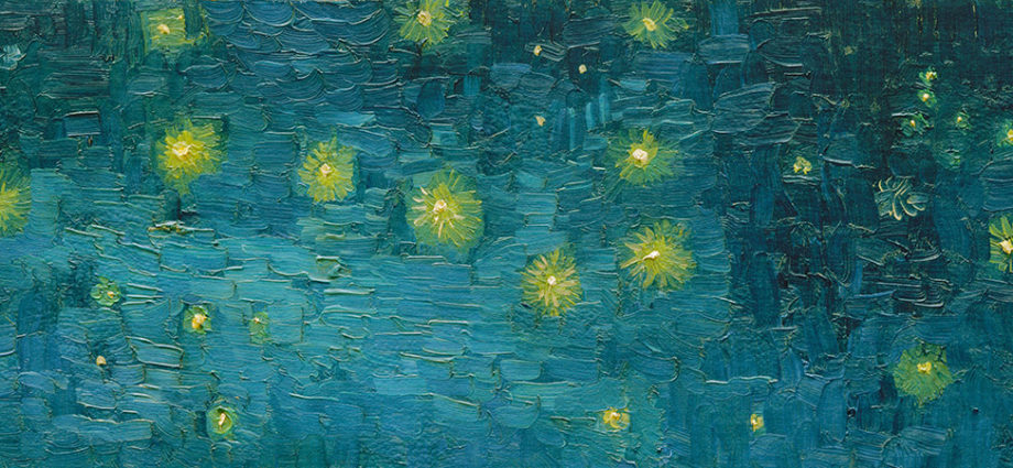 marco goldin presenta i colori delle stelle vicenza goldin a vicenza eventi arte vicenza van gogh vicenza basilica palladiana ilaria rebecchi gatte vicentine donne di vicenza