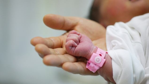 donazione del sangue del cordone ombelicale vicenza ospedale veneto donne vicenza gatte vicentine ilaria rebecchi salute veneto salute vicenza gravidanza veneto mamme vicenza