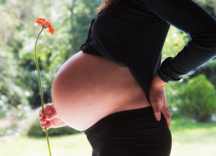 essere mamme a vicenza donne veneto mamme vicentine creatività donne veneto donne vicenza gatte vicentine fertilità femminile fertilità veneto gravidanza vicenza fertilità