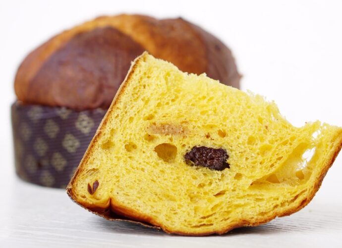 panettone prugna schiavo claudio perrone vicenza panettone veneto vicenza donne vicentine gatte vicentine