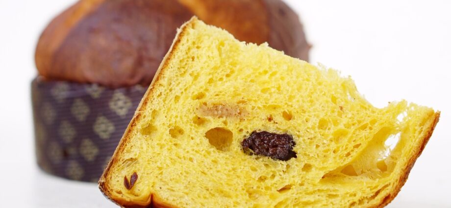 panettone prugna schiavo claudio perrone vicenza panettone veneto vicenza donne vicentine gatte vicentine