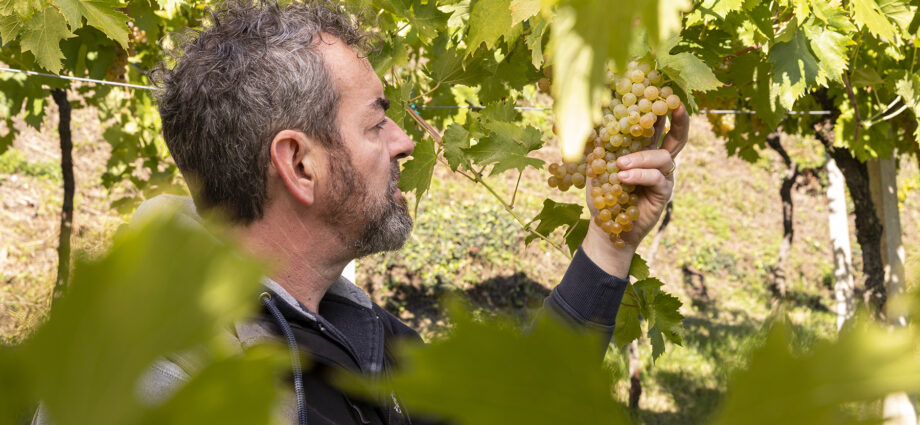 tenuta ballast cortenera vino ballast gambellara metodo classico risparmio energetico vigniaioli aziende vicentine aziende veneto ilaria rebecchi magazine vicenza donne vino vicenza gatte vicentine