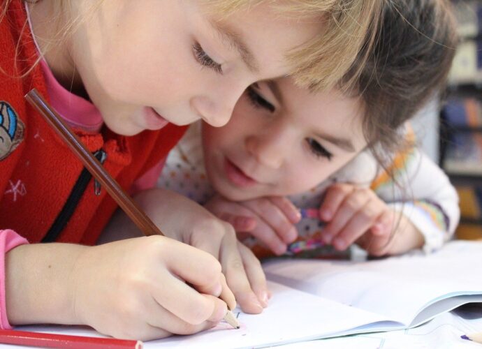 scuola in presenza didattica a distanza vicenza scuole ilaria rebecchi gatte vicentine magazine bambini istruzione covid19